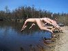 IMG_1396.JPG