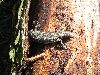 img_4278.jpg