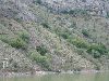 Photo16.jpg