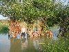 Photo22.jpg