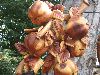 Photo38.jpg