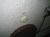 Photo46.jpg