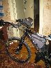 IMG_2115.JPG