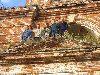 ph030.jpg