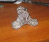 IMG_1571.JPG